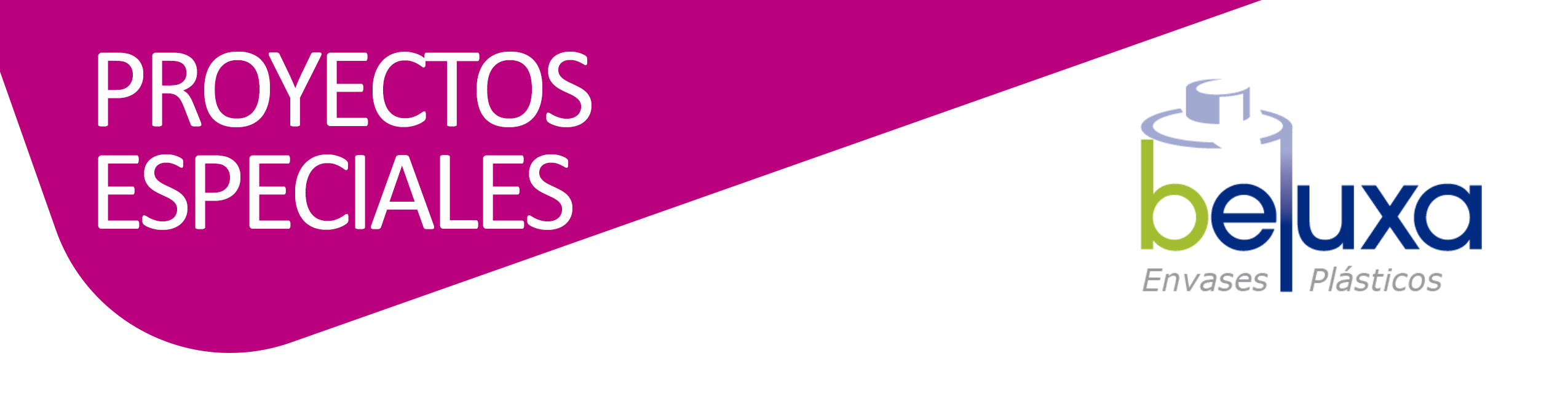BANNER -BELUXA-CATEGORIAS-PROYECTOS-ESPECIALES